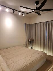 Palm Isles (D17), Condominium #447659381